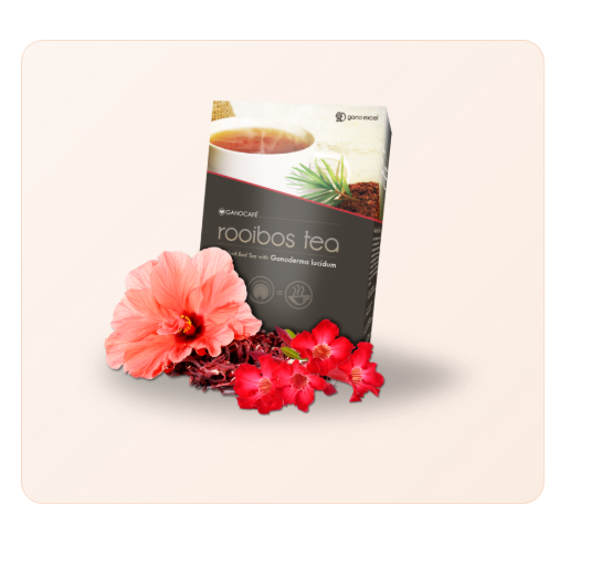GanoCafé Rooibos Tea